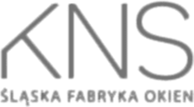 KNS Logo